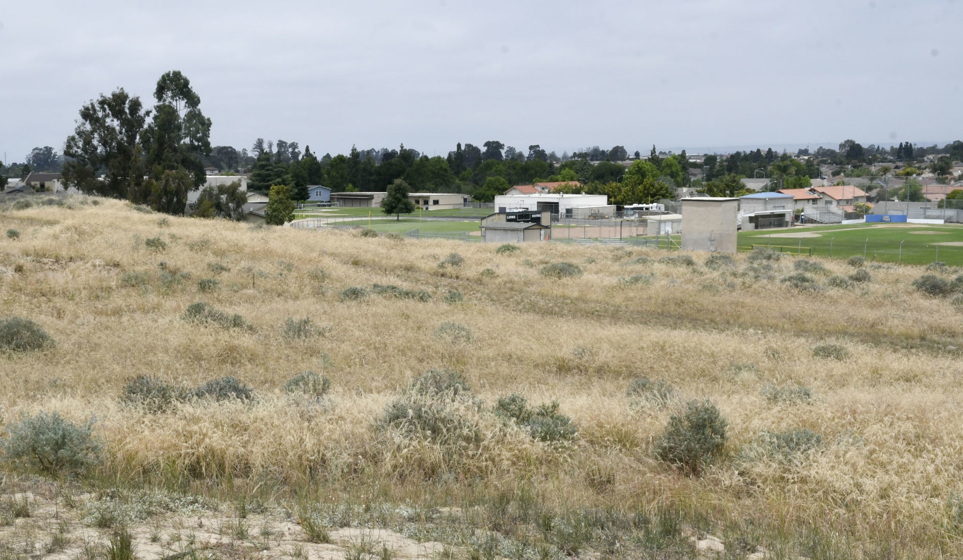 061919 SM Way housing 02.jpg